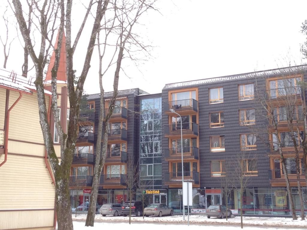 Апартаменты Apartment in Druskininkai Lithuania Друскининкай-21